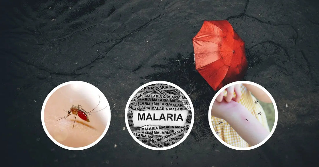 Monsoon-Safety-Tips-for-Kids-For-Dengue-Malaria-and-more Famyo