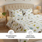 Dino Park 250TC King Bed Sheet Set (Set of 4 or Set of 5)